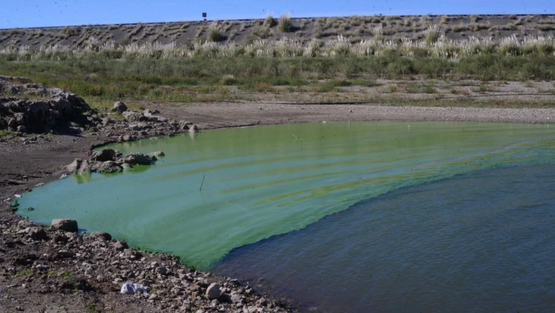 Por cianobacterias en el agua, la Provincia recomienda no pescar en el Dique Paso de las Piedras
