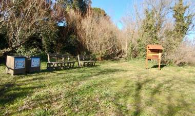 Sendero “Ribera del Río Sauce Grande” y eco plaza “Hortensia Pocha López