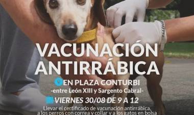 Campaña de vacunación antirrábica en la Plaza Conturbi