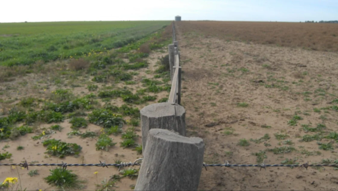 Prorrogan por cinco años dos leyes fundamentales para el Sudoeste Bonaerense