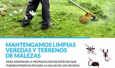 Limpieza de Veredas y Terrenos: Un Compromiso de Todos contra el Dengue