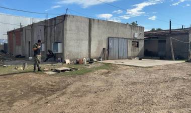 Desmantelan planta clandestina de desposte de carne vacuna en Coronel Suárez