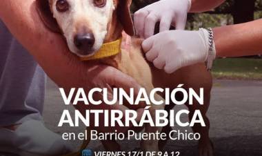 Campaña de vacunación antirrábica en Barrio Puente Chico
