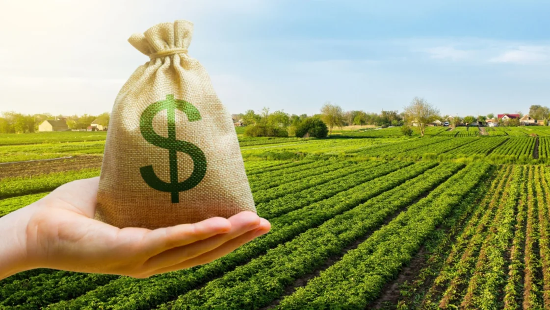 Cuánto le costará al Gobierno nacional la baja en las retenciones al campo