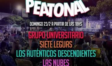 ¡Llega Huangue Peatonal a mover el 2025 con una noche única de música, arte y sabor!   