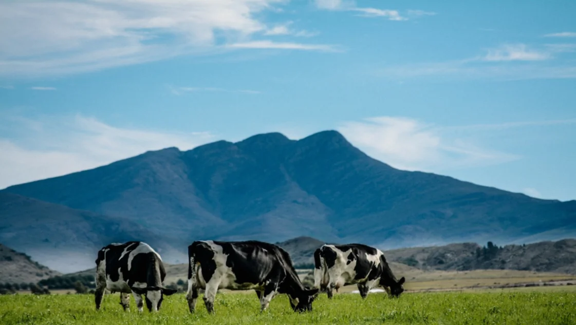 Puro orgullo: cuál es el pueblo del sudoeste que compite por ser uno de los más lindos del mundo