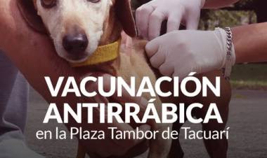 Campaña de Vacunación Antirrábica en la Plaza Tambor de Tacuarí