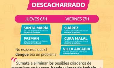 Coronel Suárez se suma a la Jornada Provincial de Descacharrado