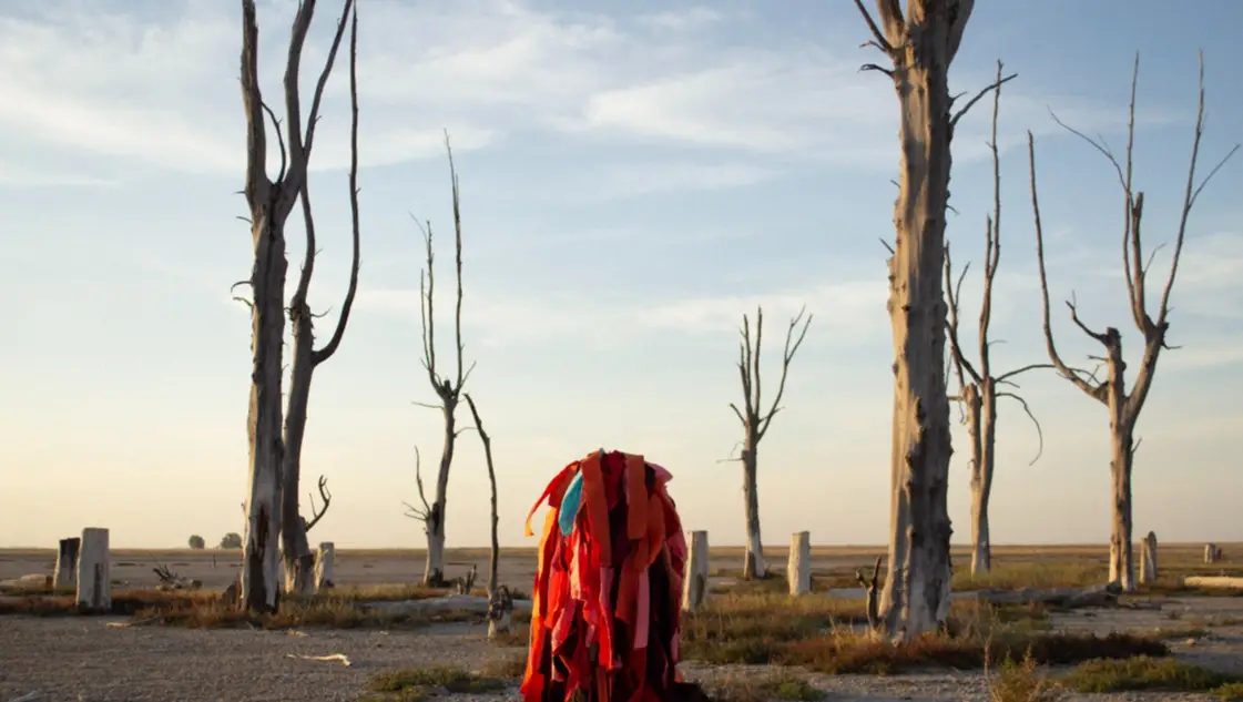 A 40 años de la inundación: repensar a Epecuén desde el arte