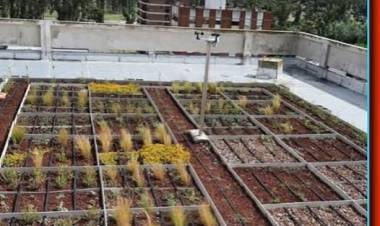 Proponen implementar "Techos Verdes" ante desafios climaticos