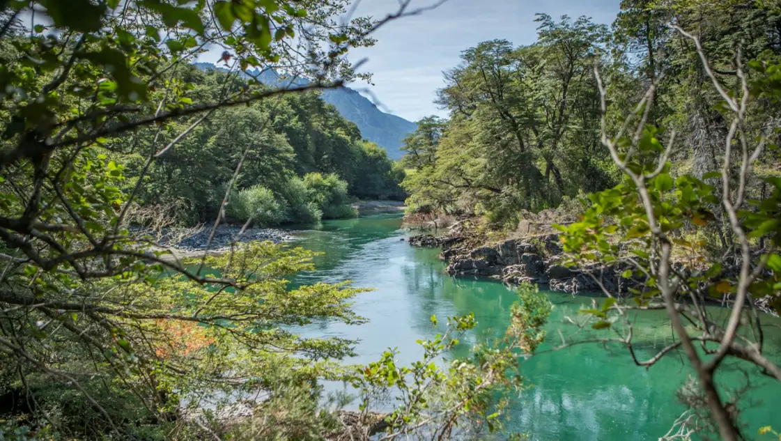 Desregular los Parques Nacionales: la nueva propuesta del Gobierno