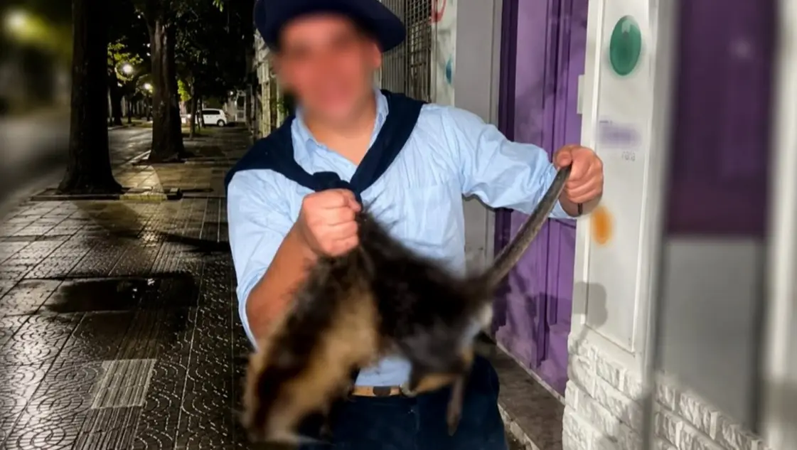 Maltrato animal: el Colegio de Veterinarios bonaerense pide sanciones penales contra los matanutrias
