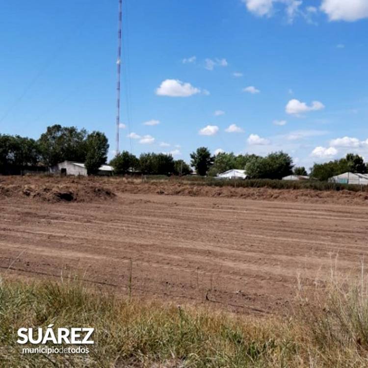 Producción- Trabajos en el Parque de Producciones Intensivas