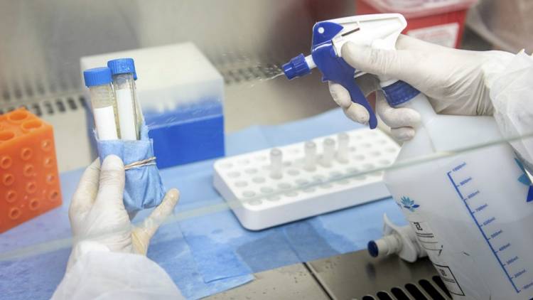 La OMS cambiará el nombre de las variantes de coronavirus para "no estigmatizar" a países