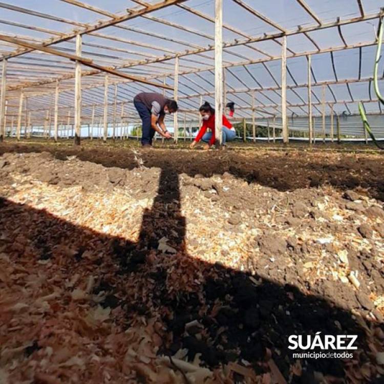 Ordenanza de Aplicación de Agroquímicos