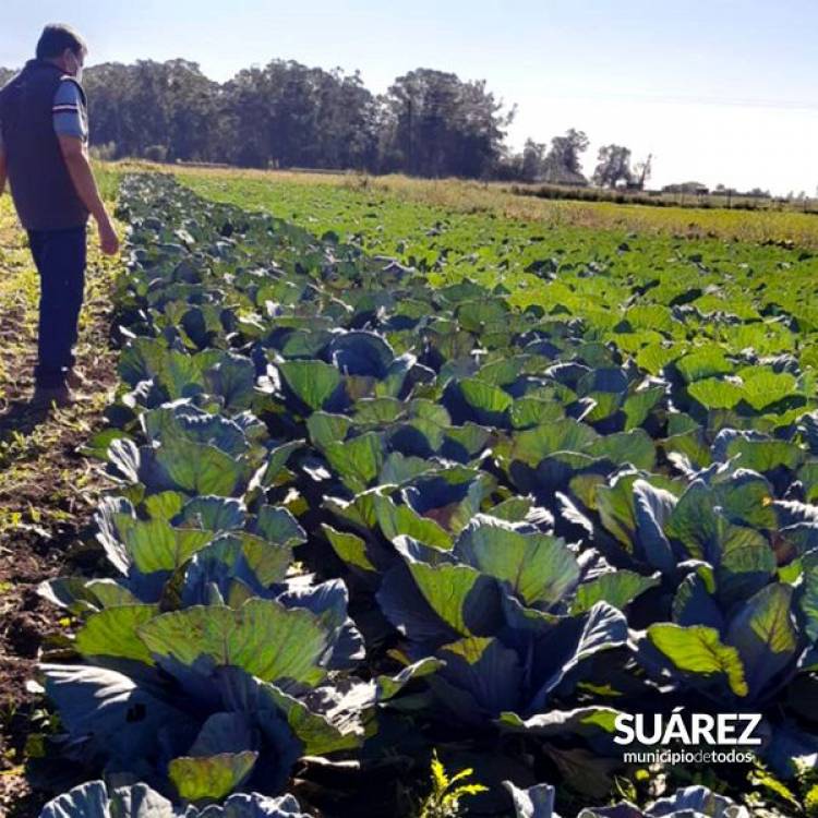 Ordenanza de Aplicación de Agroquímicos