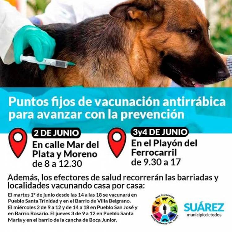 Puntos fijos de vacunación antirrábica para avanzar con la prevención