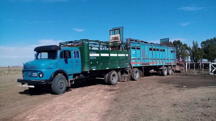 "¿Me lo das para manejar?" La historia de una camionera pringlense