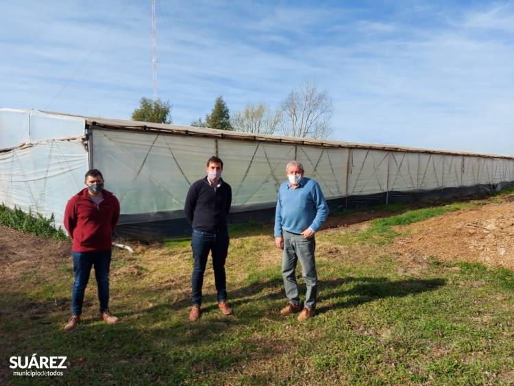 Se trabaja en la planificación del sector Hortícola
