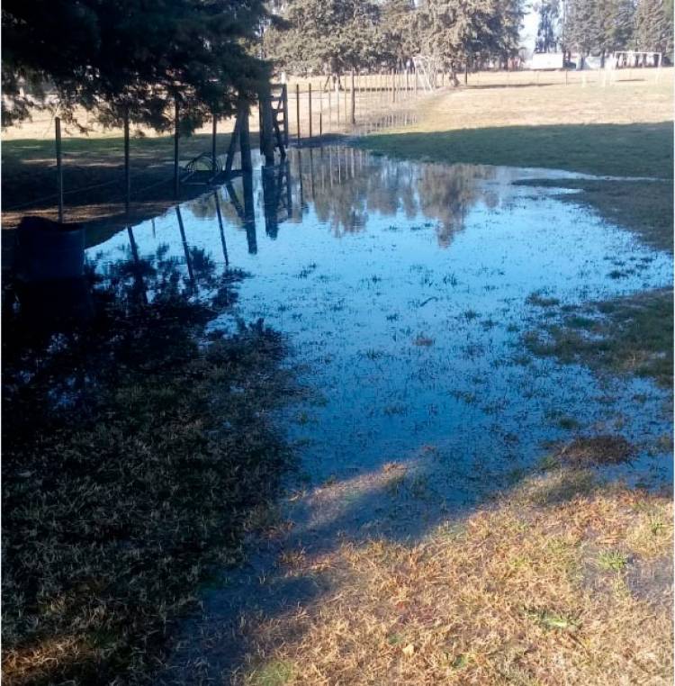 DESTROZOS EN EL PREDIO DEL CLUB BOCAJUNIORS