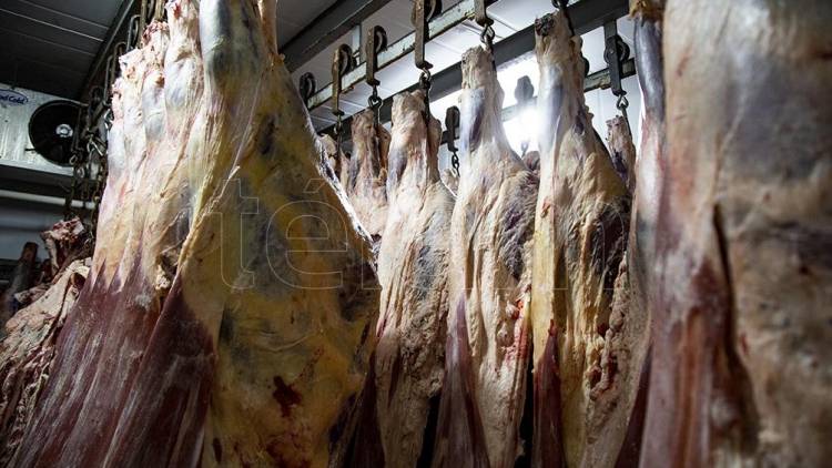 Las restricciones para exportar carne continuarán hasta fin de octubre