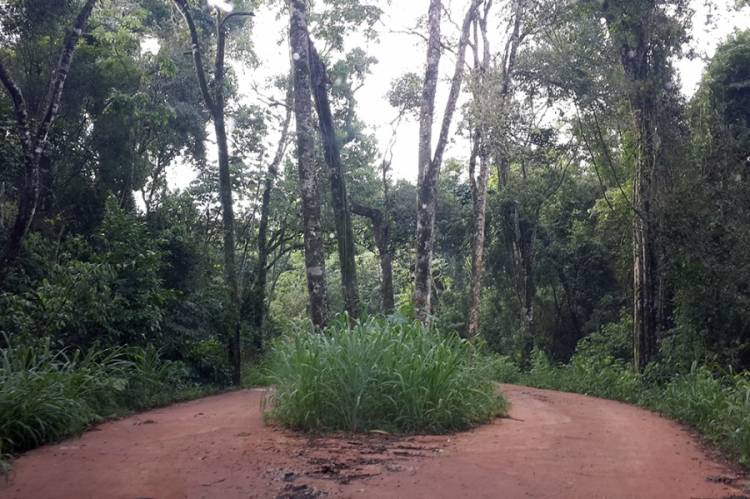 Misiones firmó un acuerdo para seguir cuidando la selva