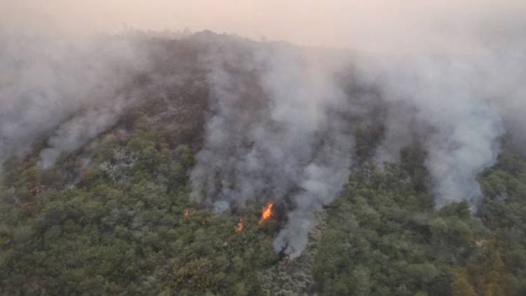 Se redujeron un 70 % las áreas afectadas por incendios forestales