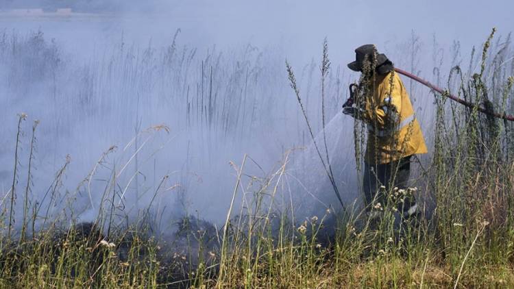 Corrientes, Río Negro y Misiones registran incendios forestales activos