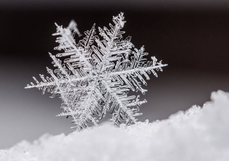 Hoy es el día mas corto del año, comienza el invierno-
