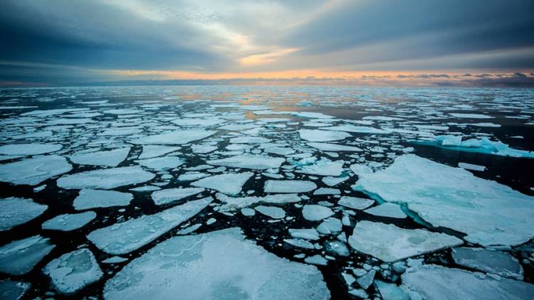 El Ártico se calienta cuatro veces más rápido que el resto del planeta