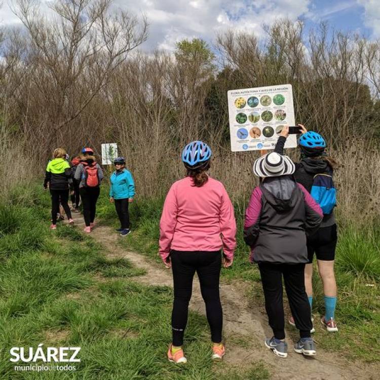 Desaparecieron carteles del sendero de Piñeyro