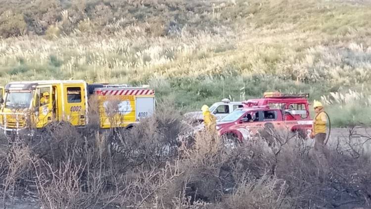 Monte Hermoso: un incendio arrasó unas 50 hectáreas de campo