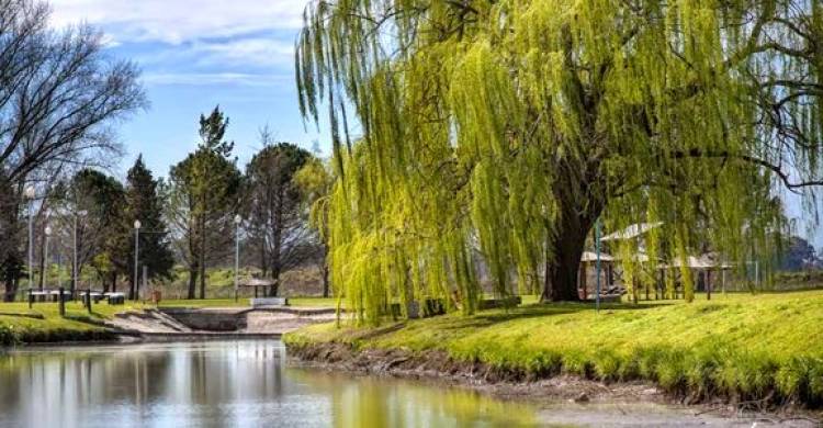Coronel Suárez, destino turístico emergente y multicultural.