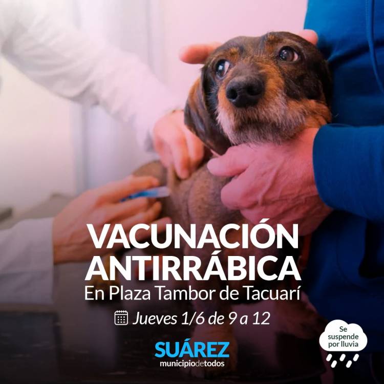 Campaña de vacunación antirrábica en la Plaza Tambor de Tacuarí