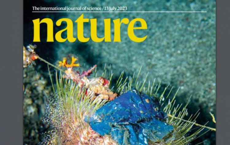 Investigación internacional sobre microplásticos de la tomaron parte científicos de la UNS