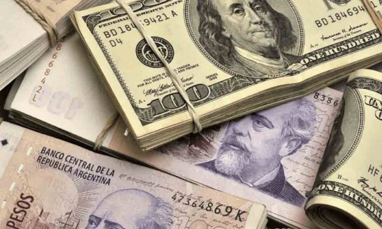 Unos 170 economistas firmaron una carta contra la dolarización