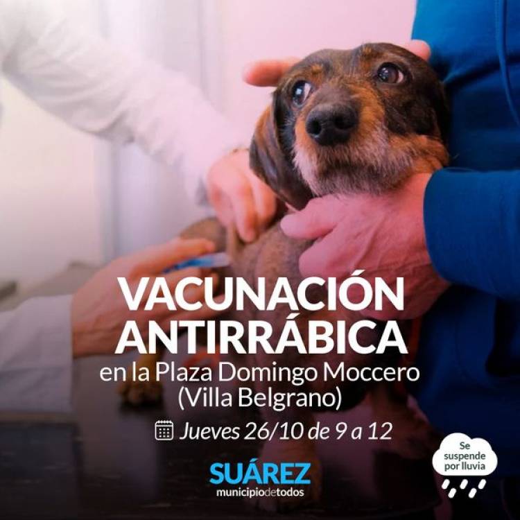 Campaña de vacunación antirrábica en Villa Belgrano