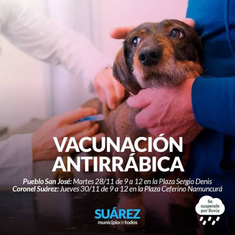 Campañas de vacunación antirrábica en Pueblo San José y en Coronel Suárez