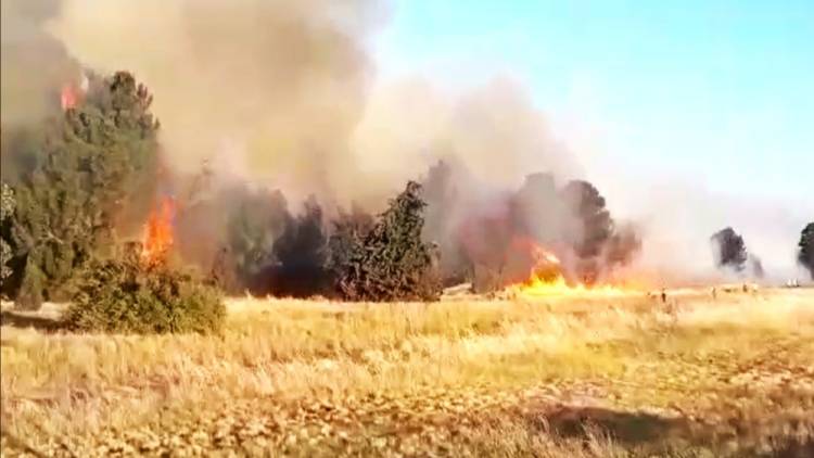 Controlan enorme incendio cerca del Dique Paso de las Piedras