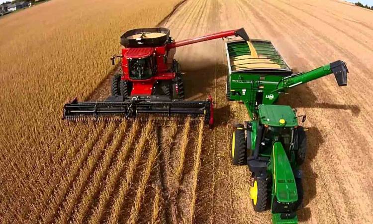 La cosecha de soja crece 127% y aporta 17.704 millones de dólares