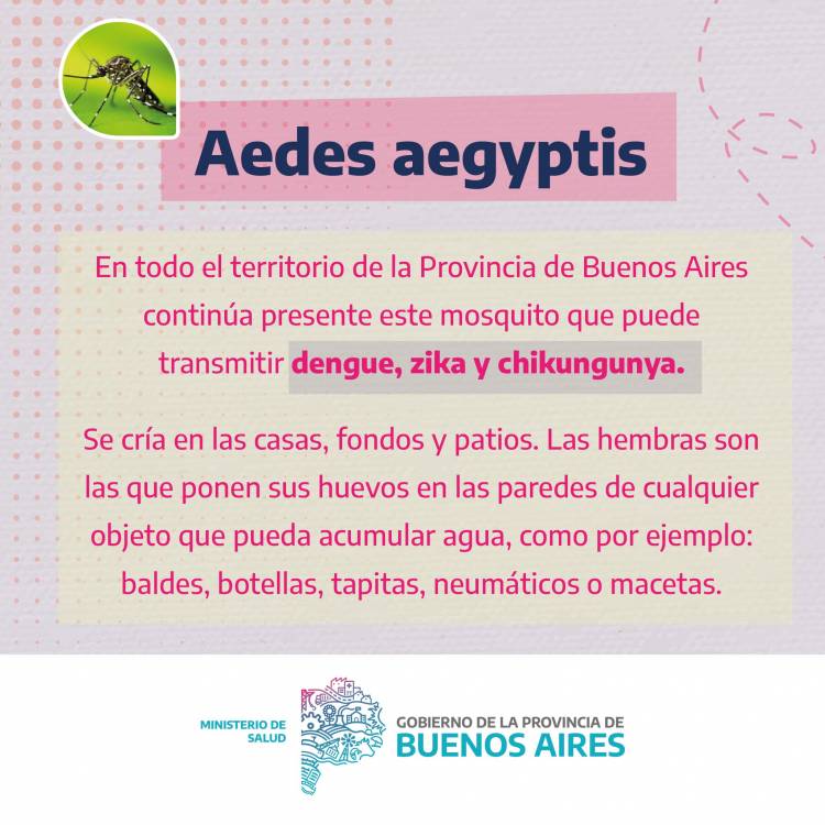 INFORMACION IMPORTANTE ante la circulacion de mosquitos