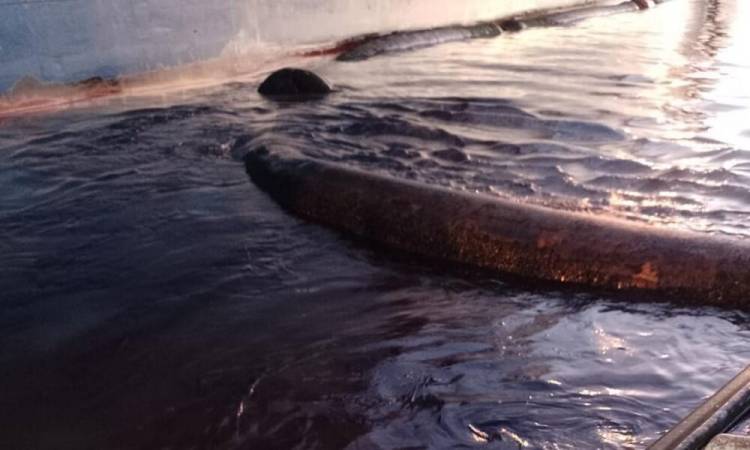 Denuncian un nuevo derrame de hidrocarburos en la ría