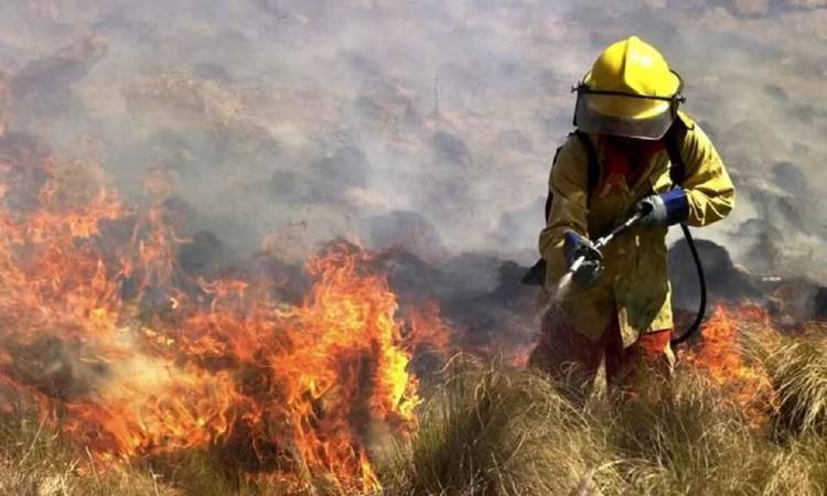 Córdoba en llamas: “Pasa todos los años, por eso estamos preparados”