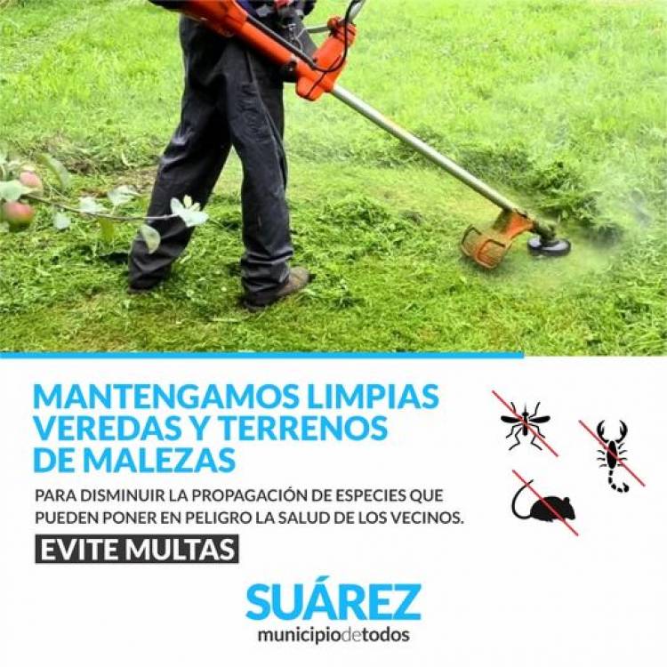 Limpieza de Veredas y Terrenos: Un Compromiso de Todos contra el Dengue
