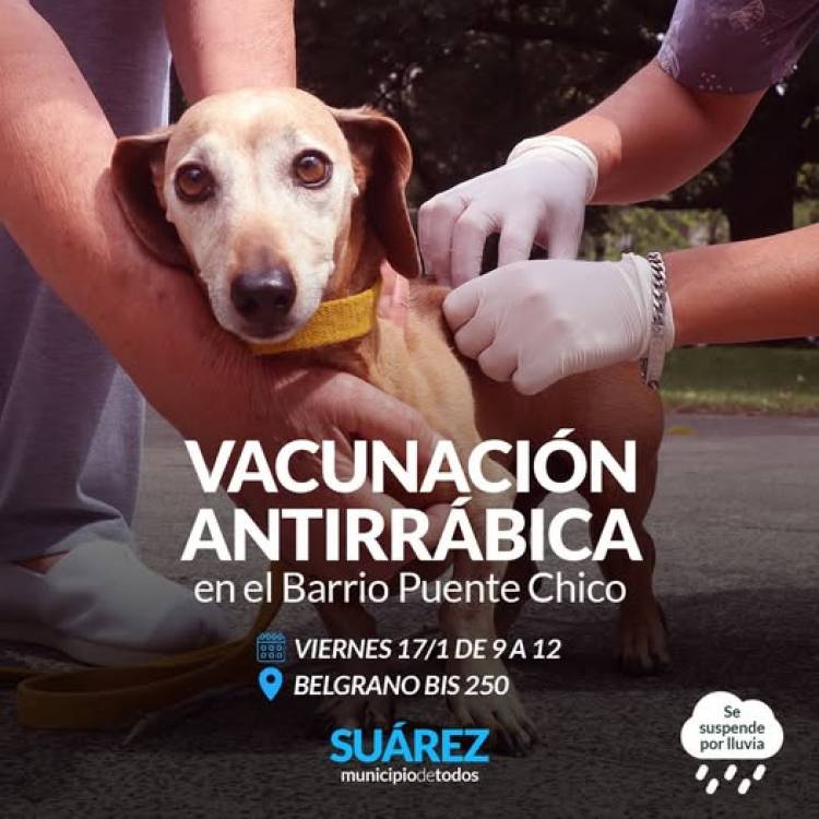 Campaña de vacunación antirrábica en Barrio Puente Chico