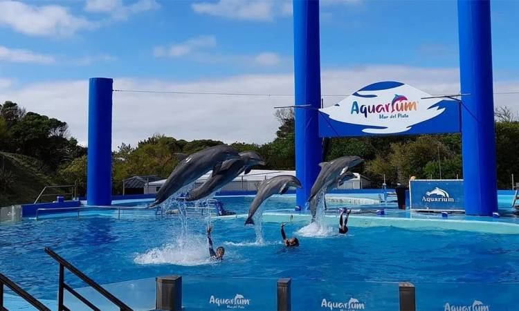 El Aquarium Mar del Plata cierra sus puertas después de más de 30 años