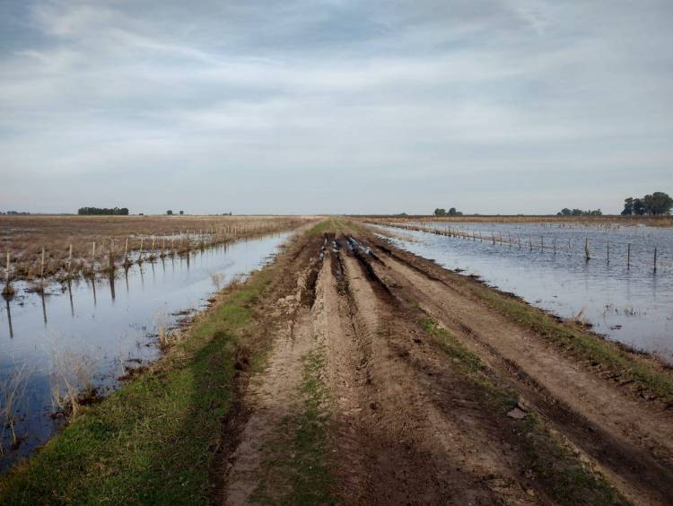 Firme compromiso con los productores: Moccero gestionó maquinaria vial