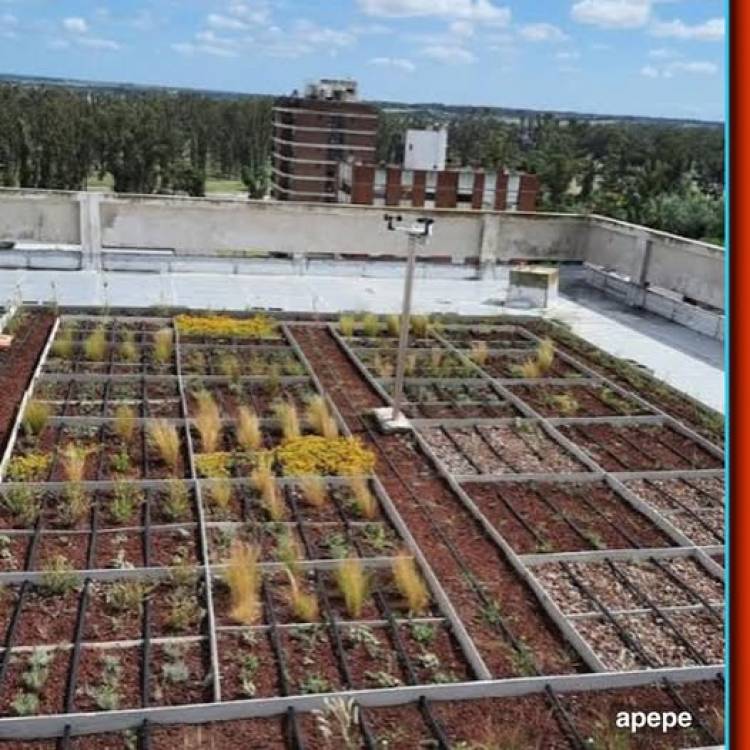 Proponen implementar "Techos Verdes" ante desafios climaticos
