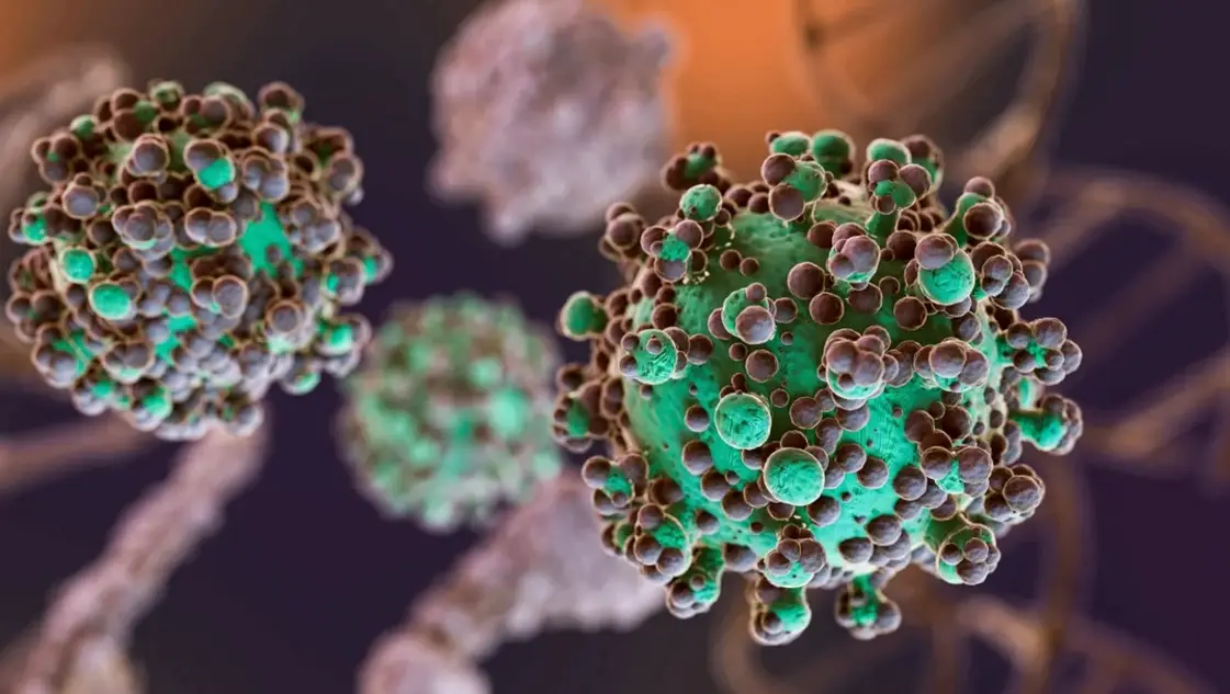 Hantavirus: el total de casos en Argentina asciende a 102